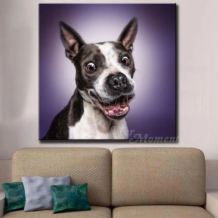 Ever Moment Diamond Painting Dogs Animal Diamond Embroidery Cross Stitch DIY Square Round Drills Mosaic Home Art Craft ASF2084
