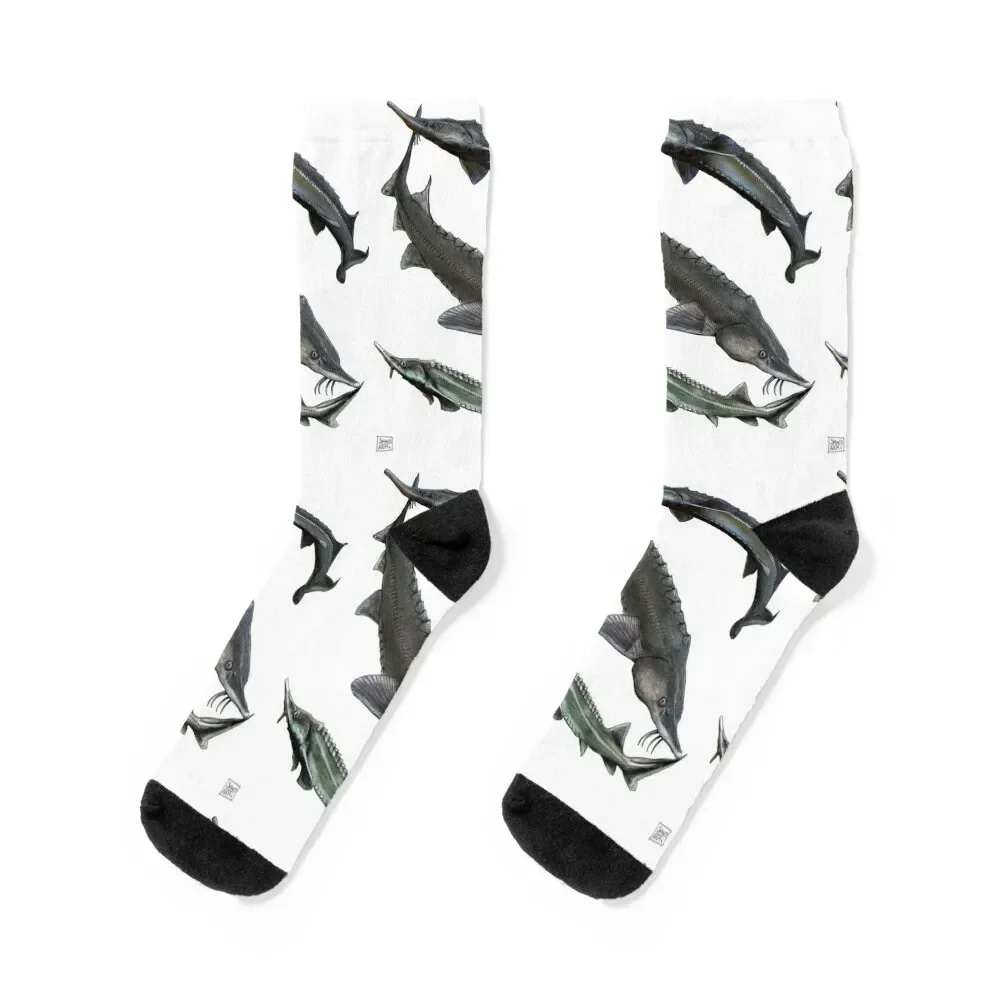 

Gang of Sturgeons 2 Socks Stockings compression Hiking boots essential cotton Girl'S Socks Men's
