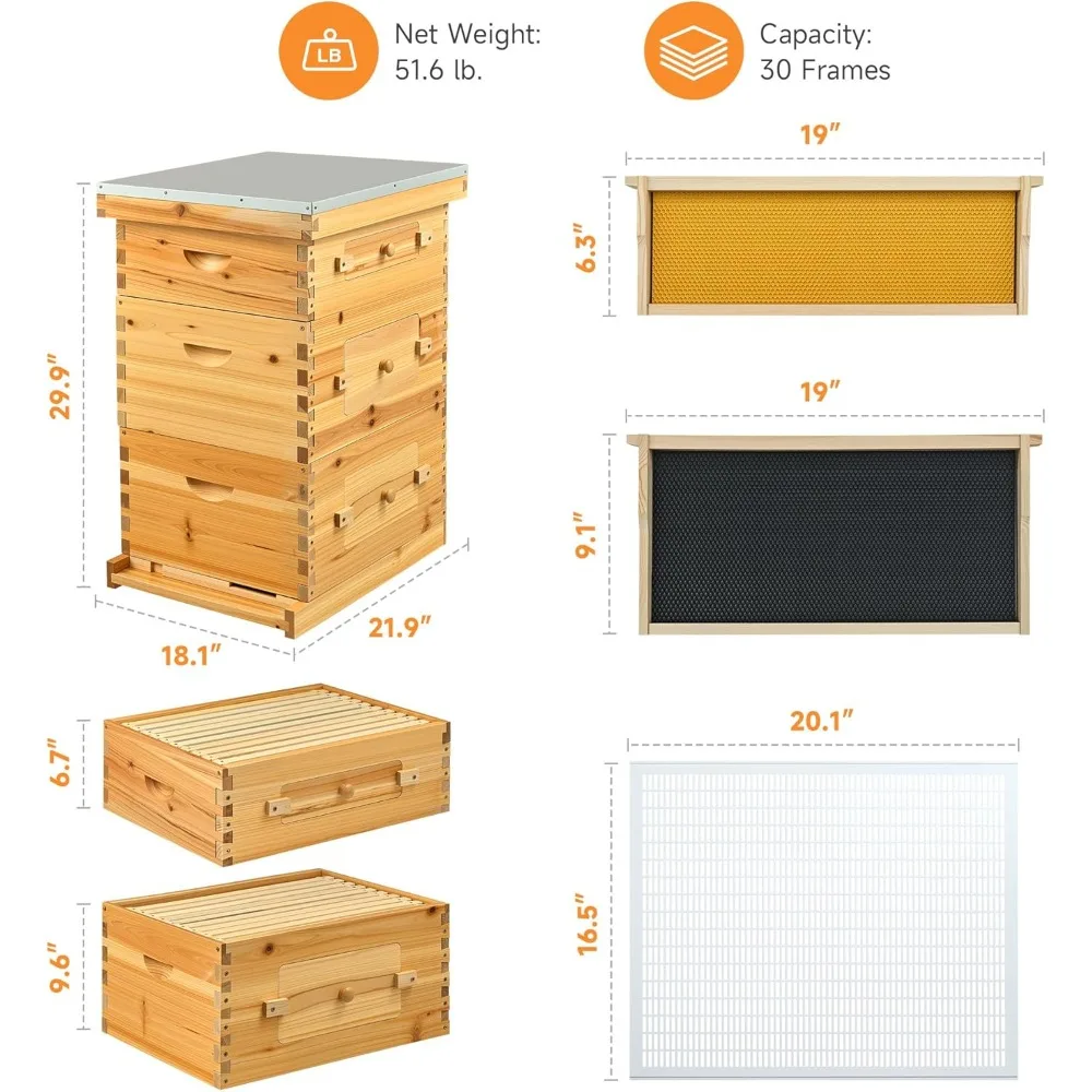 30 إطارًا من خلية النحل، مجموعة أدوات بداية صناديق خلية النحل مع صندوق متوسط وصندوقين عميقين، مجموعة خلية نحل مطلية بشمع العسل مع إطارات و