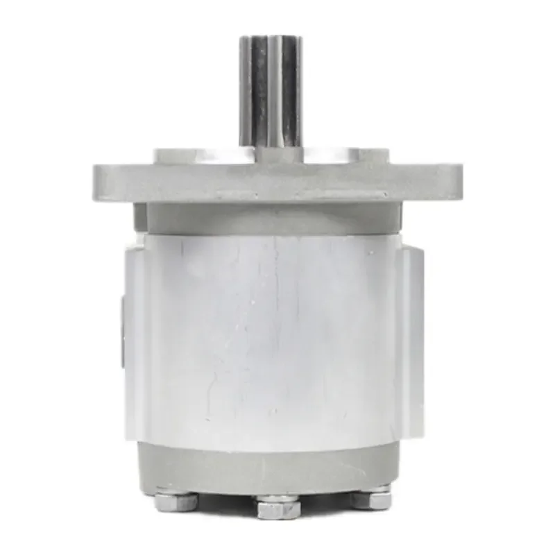 

On hot sale Hydraulic Oil Pump CBN Series CBN-F304 CBN-F306 CBN-F310 CBN-F314 CBN-F316 CBN-F320 CBN-F325 Single Gear Pump