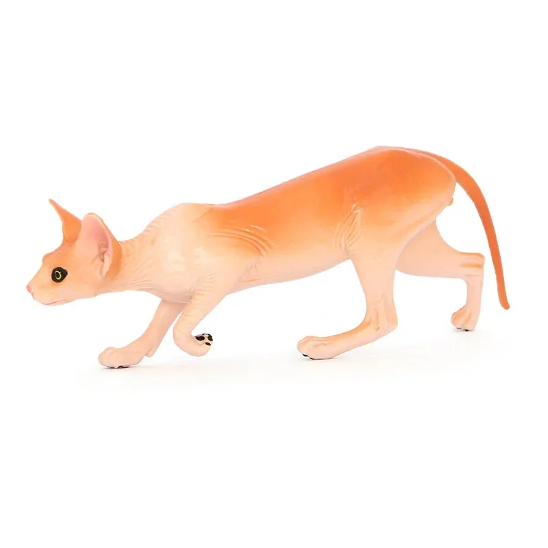 Children's toys simulated animal models Canadian hairless domestic cat pet home decoration early education props