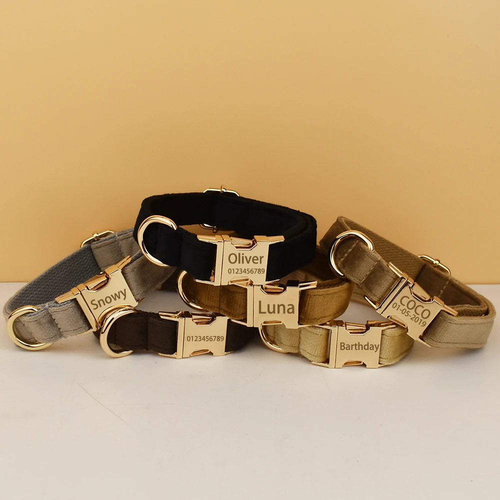 Personalisiertes Hundehalsband aus Samt mit Gravur in mehreren Farben erhältlich, individueller Service für Haustierzubehör