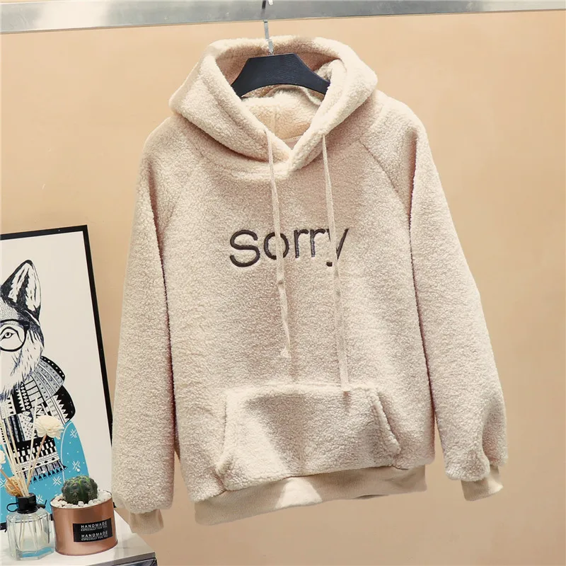 New Autumn Winter Clothes Thick Warm Coat Velvet Cashmere Women Hoody Sweatshirt Casual Tops Lady Loose Apricot Be Fun Pullover