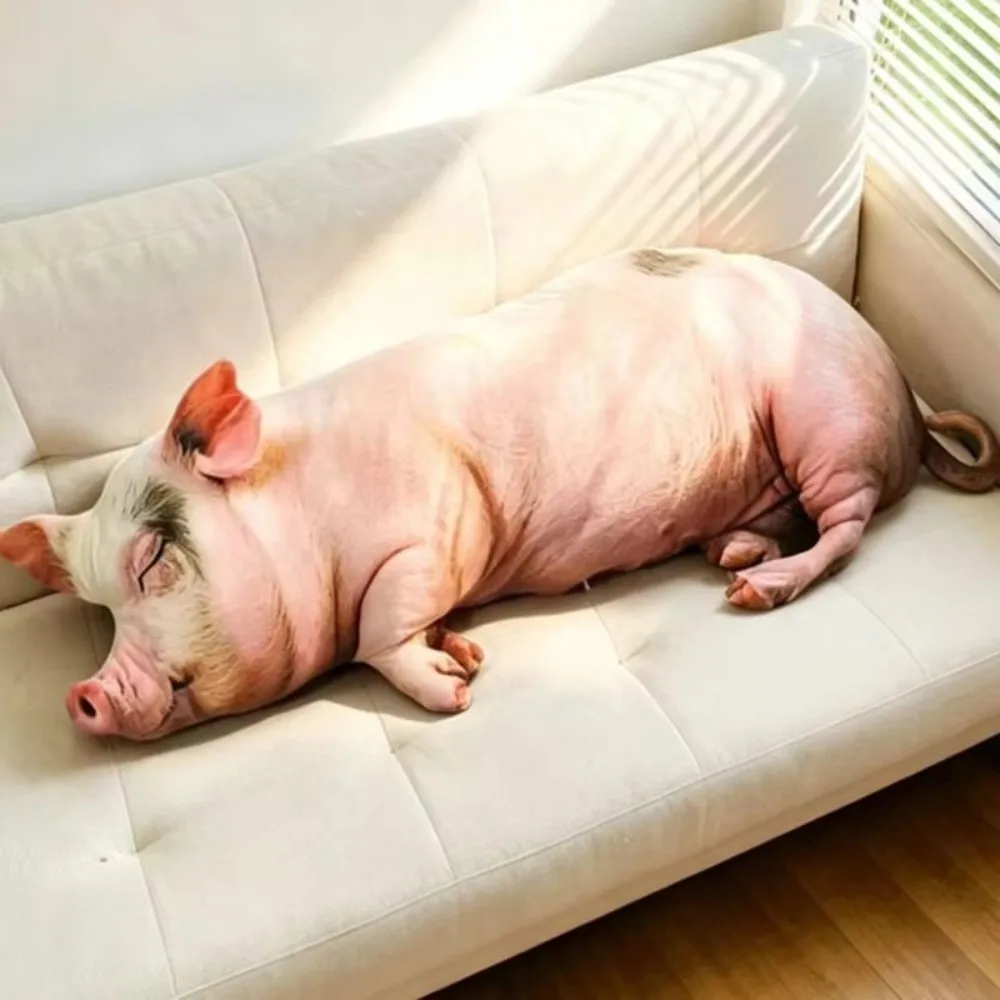 Pig Soft Pig Lifelike Simulation Pig Lifelike Printing Cotton Stuffed Stuffed Pig Holiday Gift