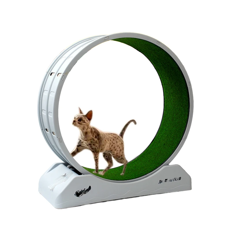 High Quality Interactive Pet Toy Silent Cat Exercise Running Wheel Cat Climbing Frame Cat Wheel Treadmill