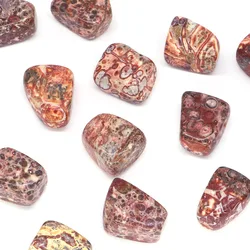Natural Leopard Jasper Crystal Reiki Healing Tumbled Stones Minerals Bulk Gemstone Home Decoration Fish Tank Aquarium Specimen