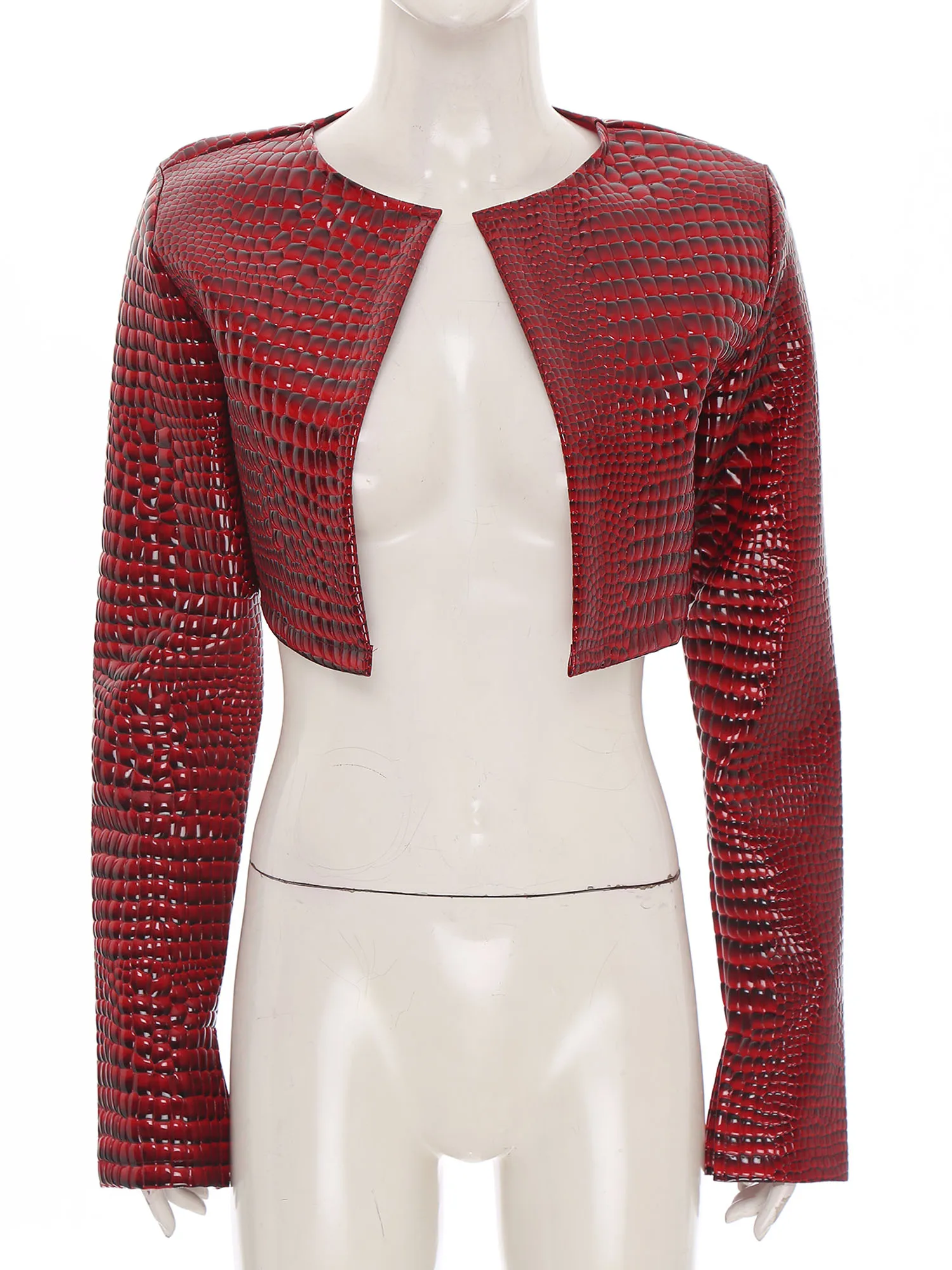 

Куртка со змеиным тиснением, пальто, женский жилет с длинным рукавом, крутая куртка в стиле панк, болеро, пиджак, повседневный жилет, кардиган