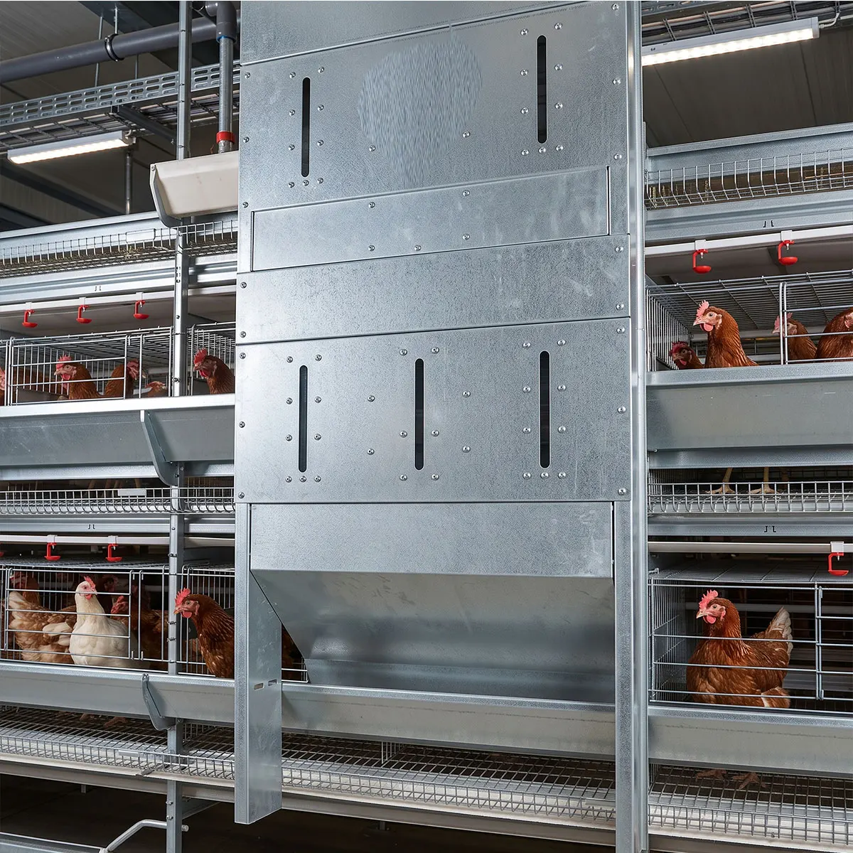 Integrated 10000 Birds Nigeria Poultry Farm Project FCR Optimized Automated Manure Removal Automatic H Type Layer