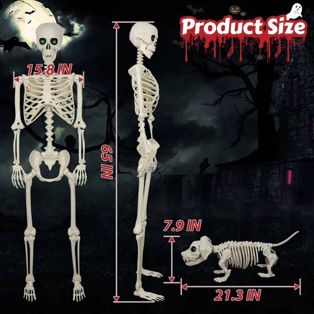 5.4 Ft (165 Cm) 3 Pack Life Size Skeleton Halloween Decorations - Poseable Skeletons with Light-Up Eyes for Spooky Halloween