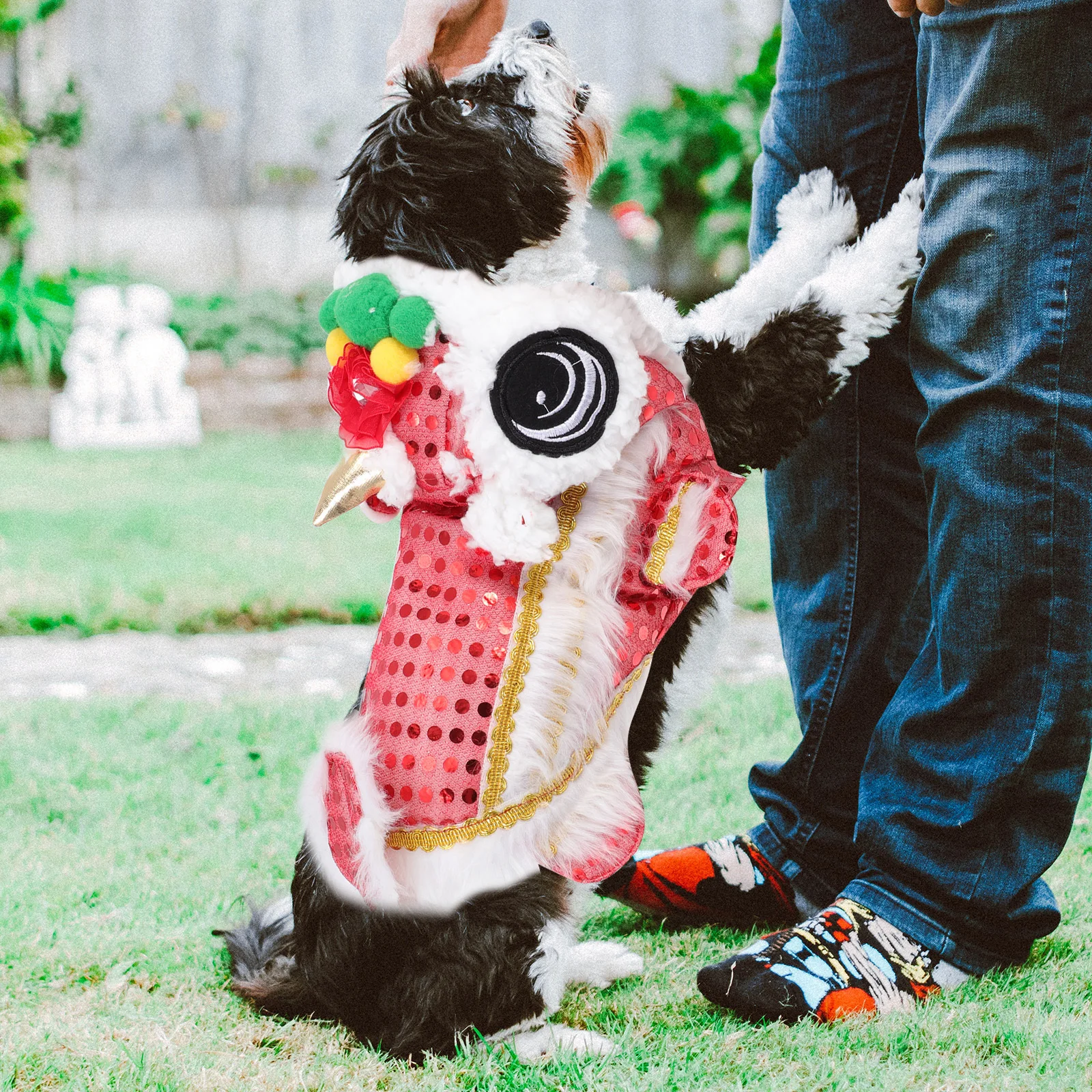 

Dog Costume Pets Dance Lion Dress Clothes Small Dogs Winter Suit Dancing Outfit for Chinese New Year
