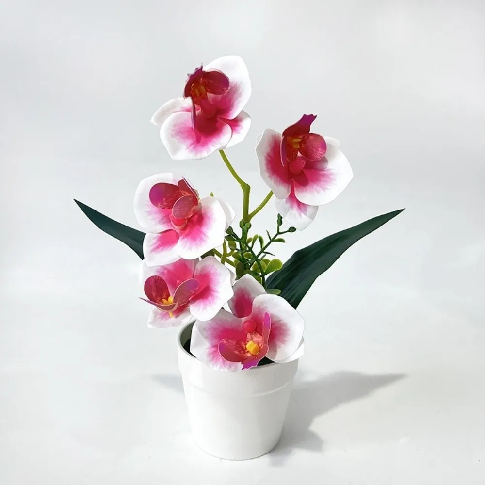 5 Blooms Artificial Orchid Arrangement Realistic Indoor Potted Flower Display Pink White White Pot Tabletop Floral Centerpiece