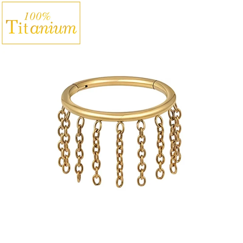 ASTM G23 التيتانيوم الأنف الدائري متمحور الفرس الجزء مع سلسلة الغضروف اللولب Daith محارة ثقب القرط هوب مجوهرات للجسم 16 جرام