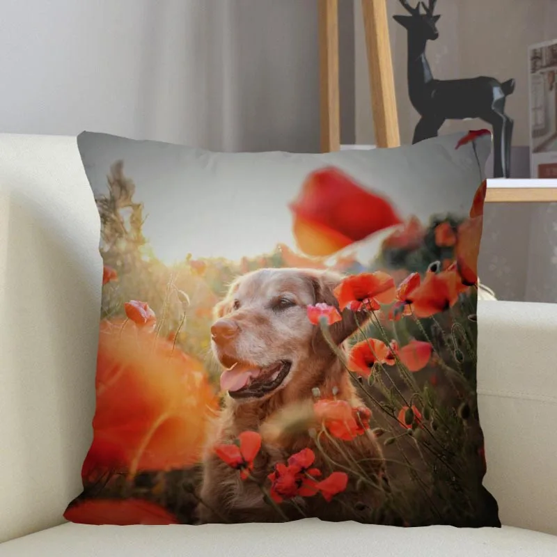 Pillow Case Home Decor Wholesale Golden Retriever  Cover Sofa  Cushion