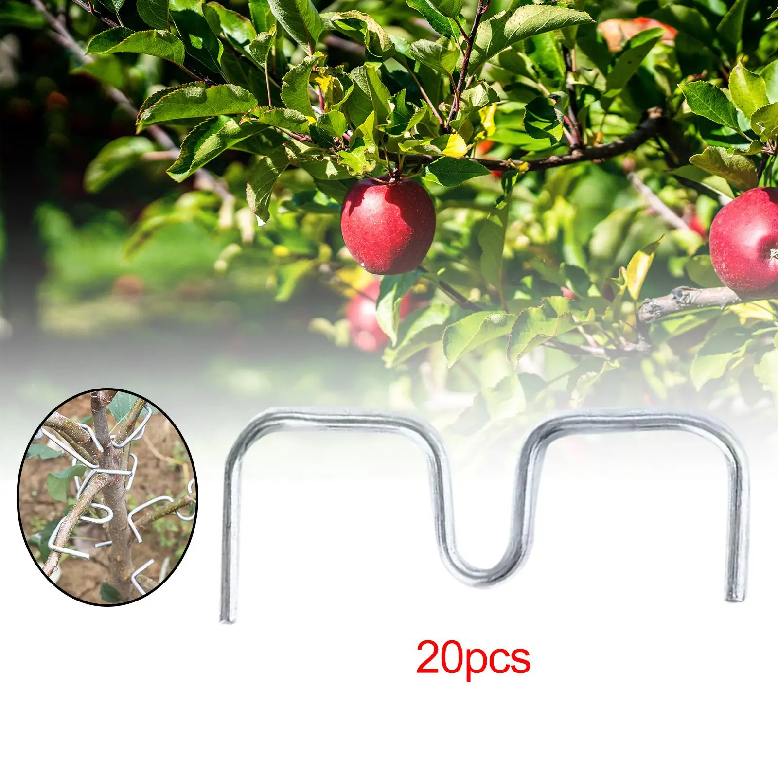 20Pcs Fruit Tree Branch Puller Pull Branch Bending Tool Plum Tree Open Angle
