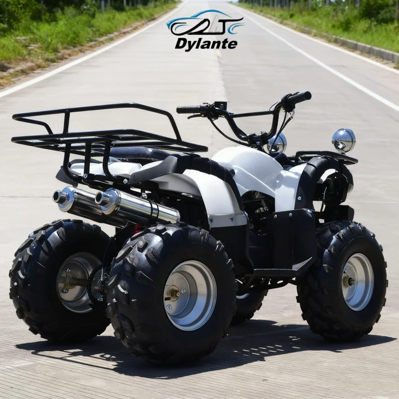 

Headlight Guard (Mesh) Light Guard ATV Steel Mesh Design Rocky Trails Headlight Shatter Prevention