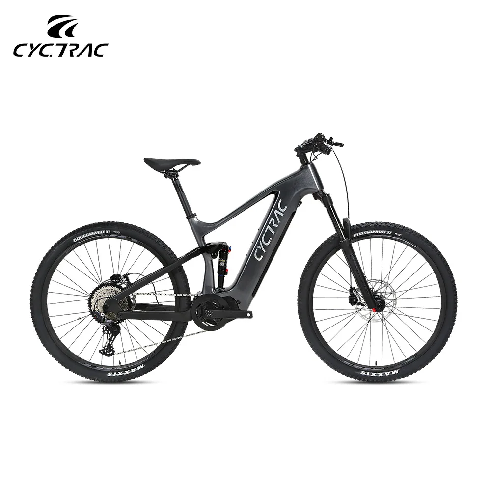 Carbon Fibre Full Suspension EM10 Mountain Electric Bicycle with 500W Centarl Motor Rockshox Fork Bicycle Parts Ebike for Sale
