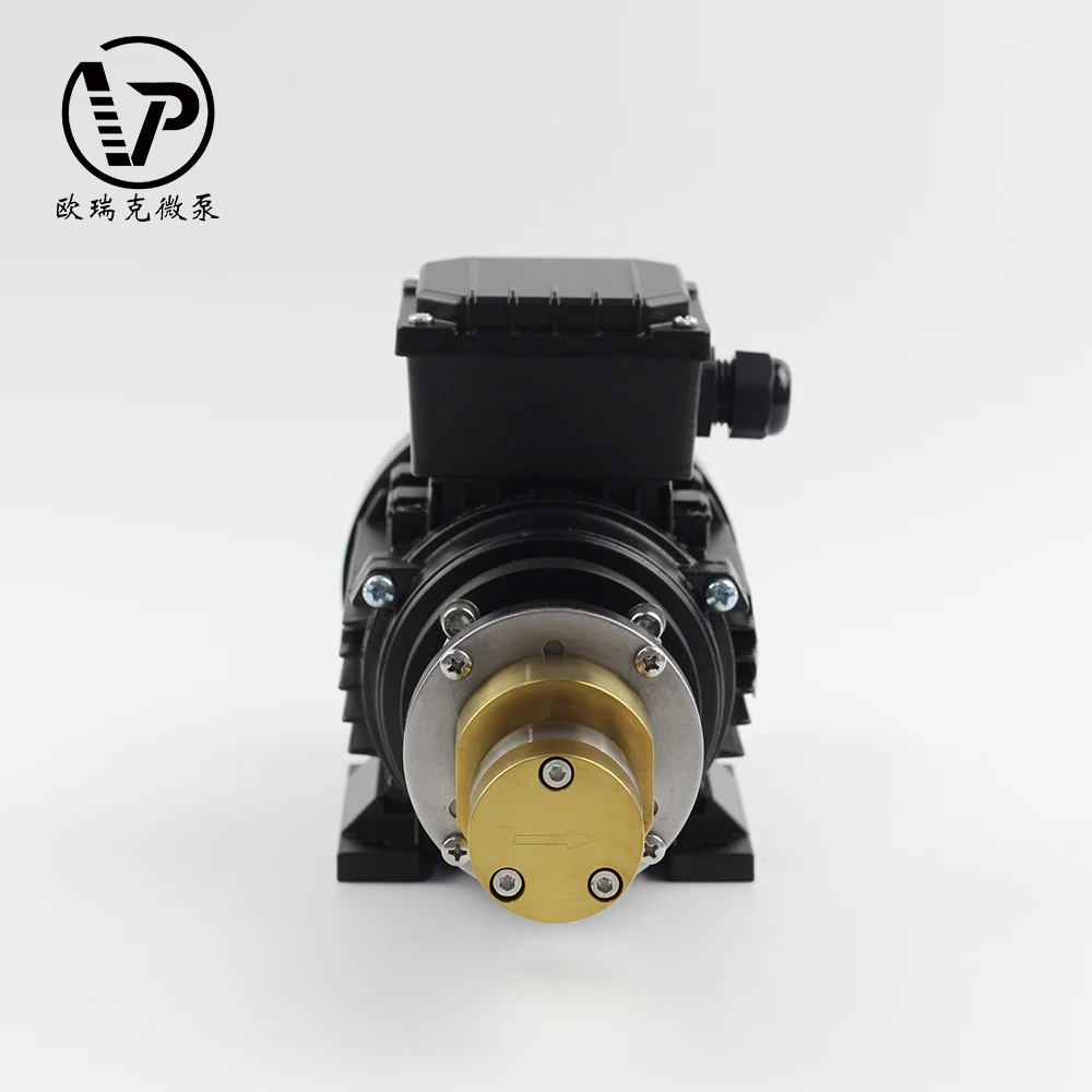 food grade micro gear pump /electric magnet drive micro gear pump stainless steel chemical process pumps