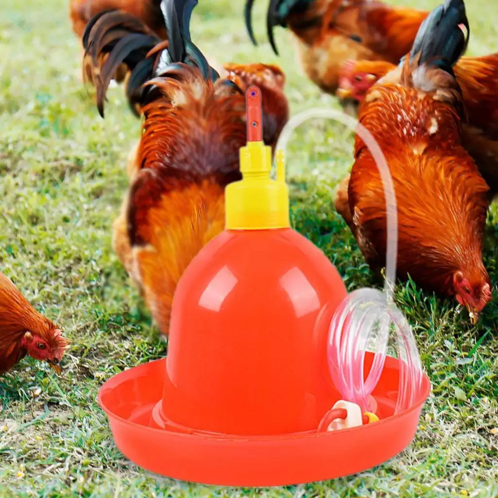 

Chicken Waterer Automatic Poultry Drinker Waterer,Water Dispenser,Water Container Chicken Drinking Bowl for Hen Birds Pigeon