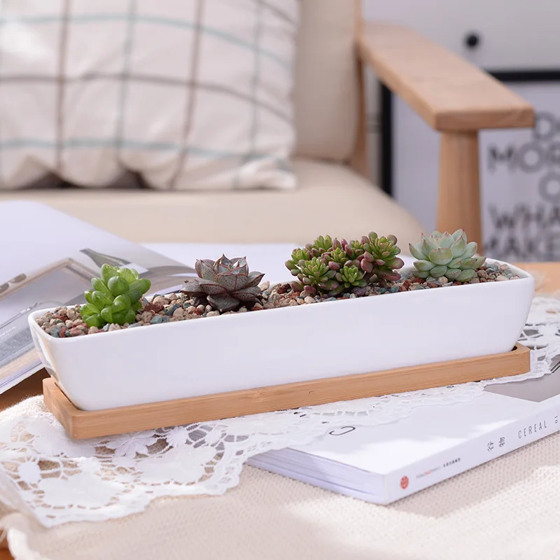 

Long Rectangle White Ceramic Succulent Planter Pot with Bamboo Tray, Ceramic Cactus Plant Holder, Home Office Table Desk Decor