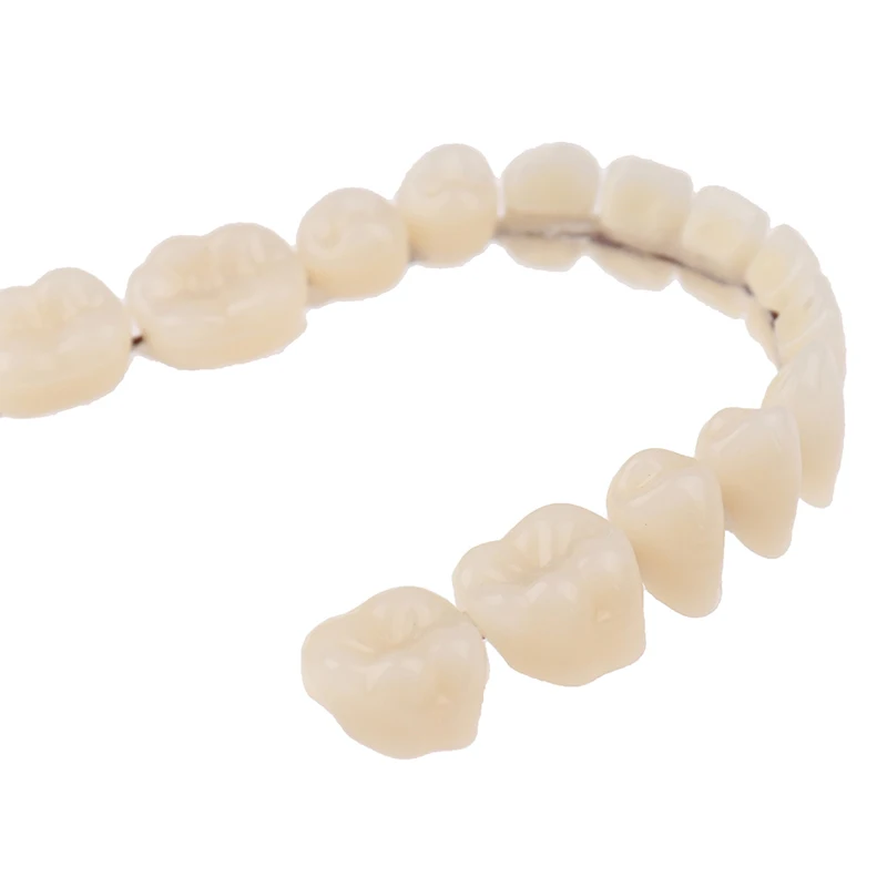 28-teiliges Set Kunstharz-Zahnersatz für Ober- und Unterkiefer, A2-Farbe, Konturierte Künstliche Zähne, Dental-DIY-Zahnersatz-Werkzeug – Detail 10