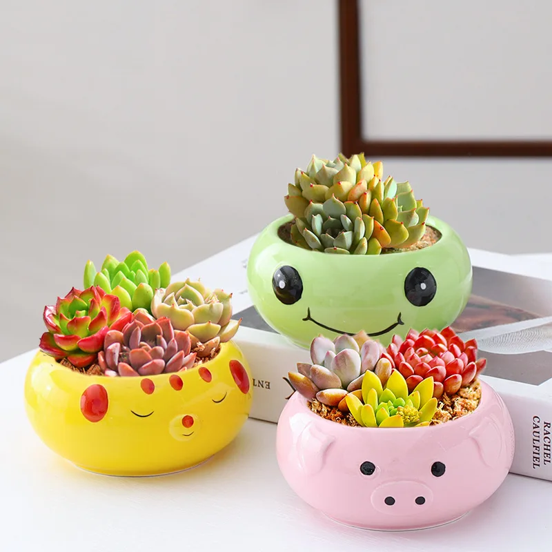 

Frog / Deer Fleshy Flower Pot Lovely Cartoon Garden Decorative Pot Creative Exquisite Gift Tabletop Vase Ornament Pots