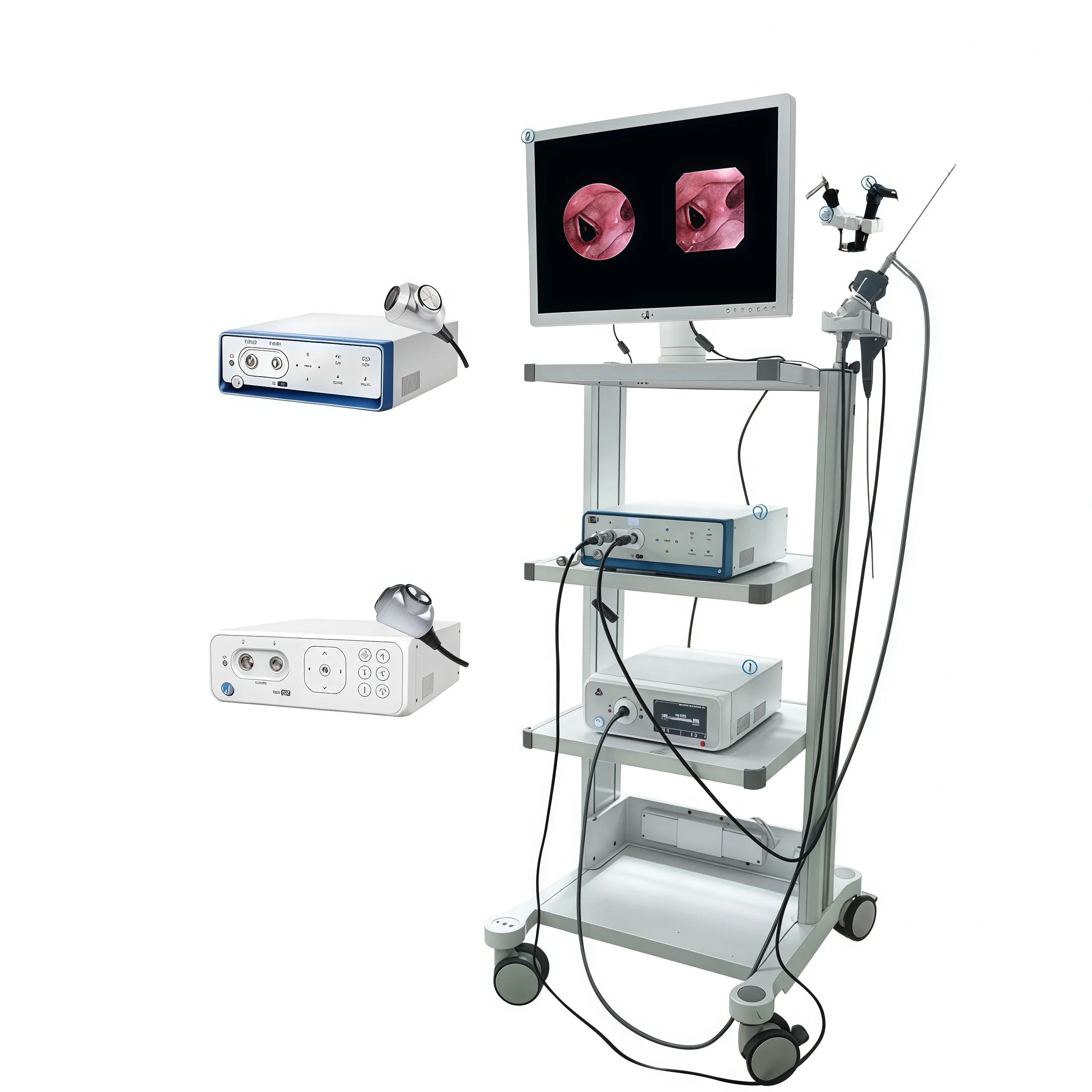 High-quality High-definition Class II  Nasal Throat Endoscope Camera Soft Lens FY Model 31 Endoscopy 1 Year Warranty