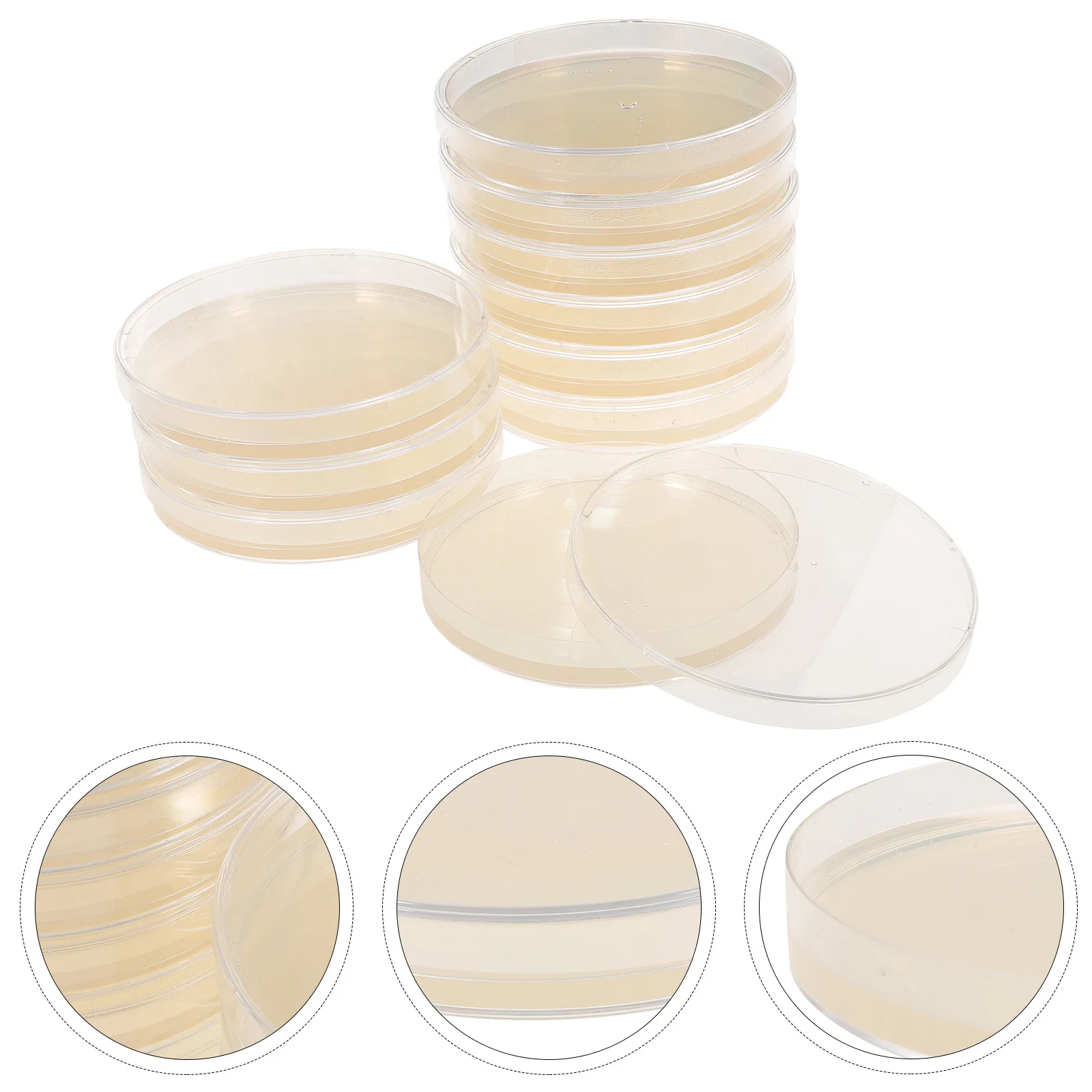 10pcs Nutrient Agar Plates Prepoured Petri Dishes For Science Experiments Laboratory Culture Storage Tissue Research Tools