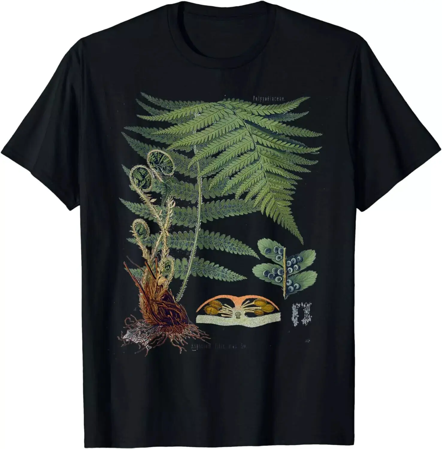 เสื้อยืดลาย fern botanical Plant botanical เสื้อยืดของขวัญสำหรับทุกเพศ