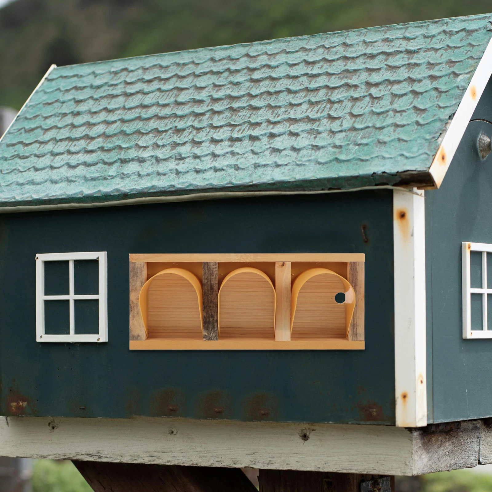 

Pigeon Birds House Door Durable Wood European Style Easy Install No Tools Perfect for Racing Jumping Pigeon Door