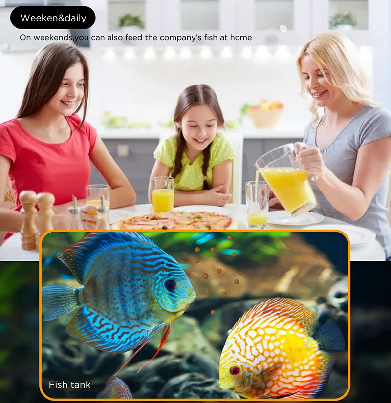 Automatic Fish Tank Feeder with Camera Aquarium Fish Tank Feeders Timing Quantitative Visual Intelligent Feeder Drop shipping