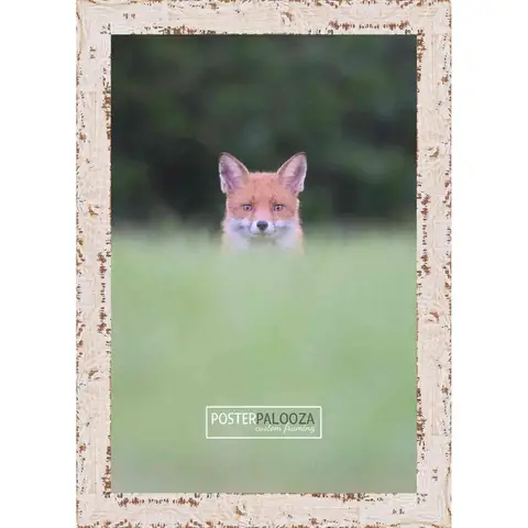 15x20 Shabby Chic/Farmhouse White Wood Picture Frame with UV Acrylic Foam Board Backing and Hanging Hardware - Ideal for Home D