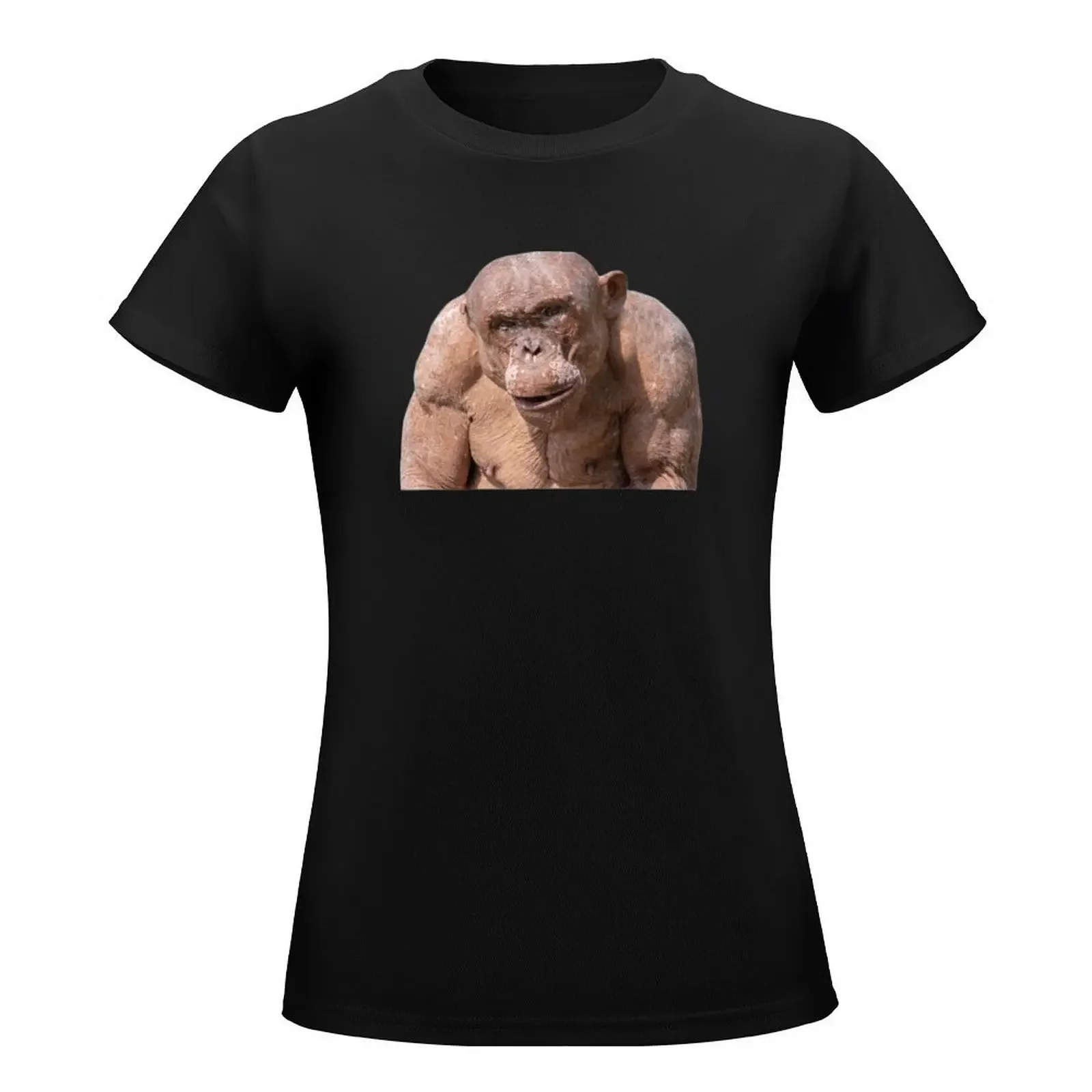 Jambo The Hairless Male Chimp (Transparent Background) T-Shirt summer top Female clothing plus size tops funny t shirt for Women