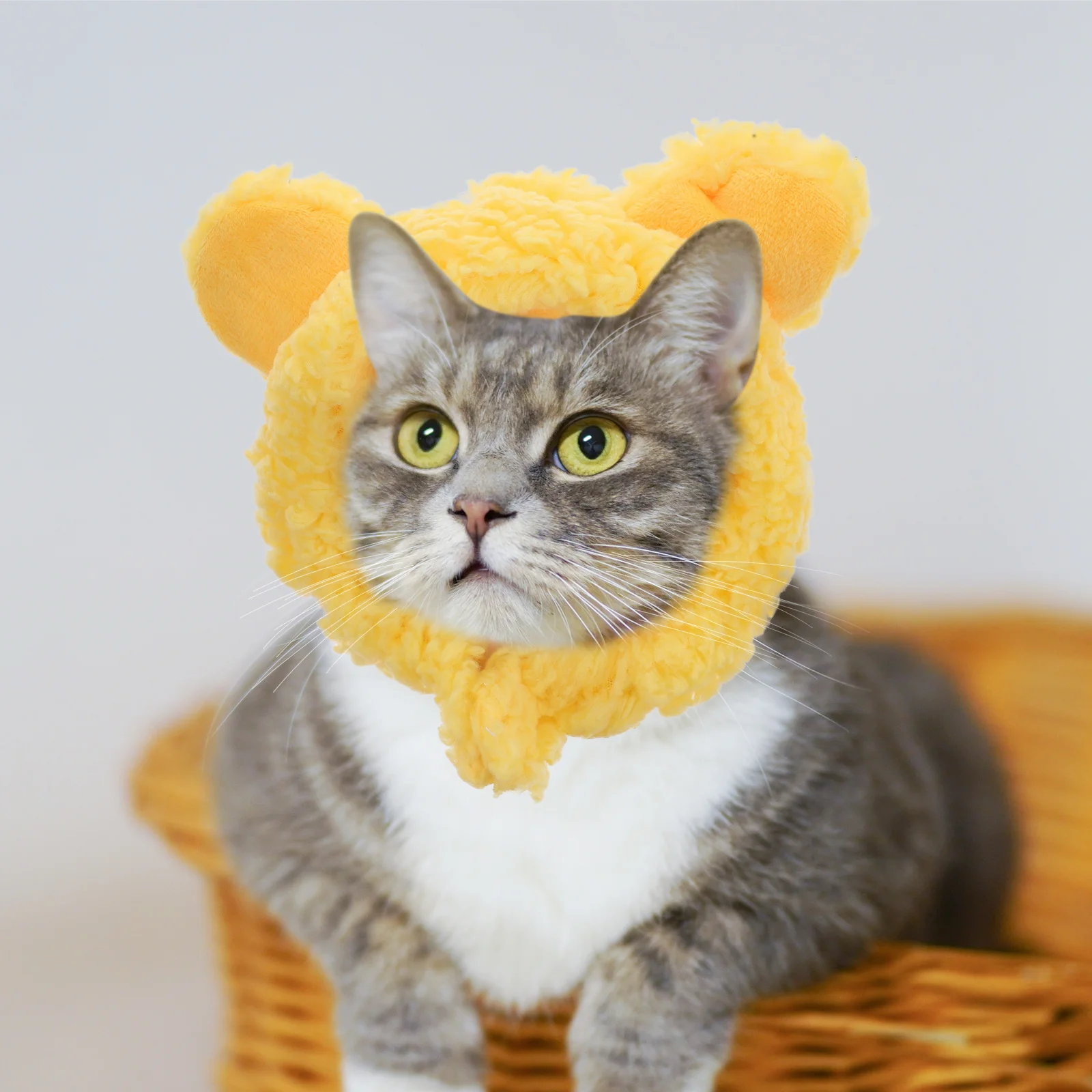 

2pcs Creative Pet Head Cover Warm Cat Puppy Hat Retaining Cap Adorable Cartoon Pet Headdress Thermal Protective Warming Cap For