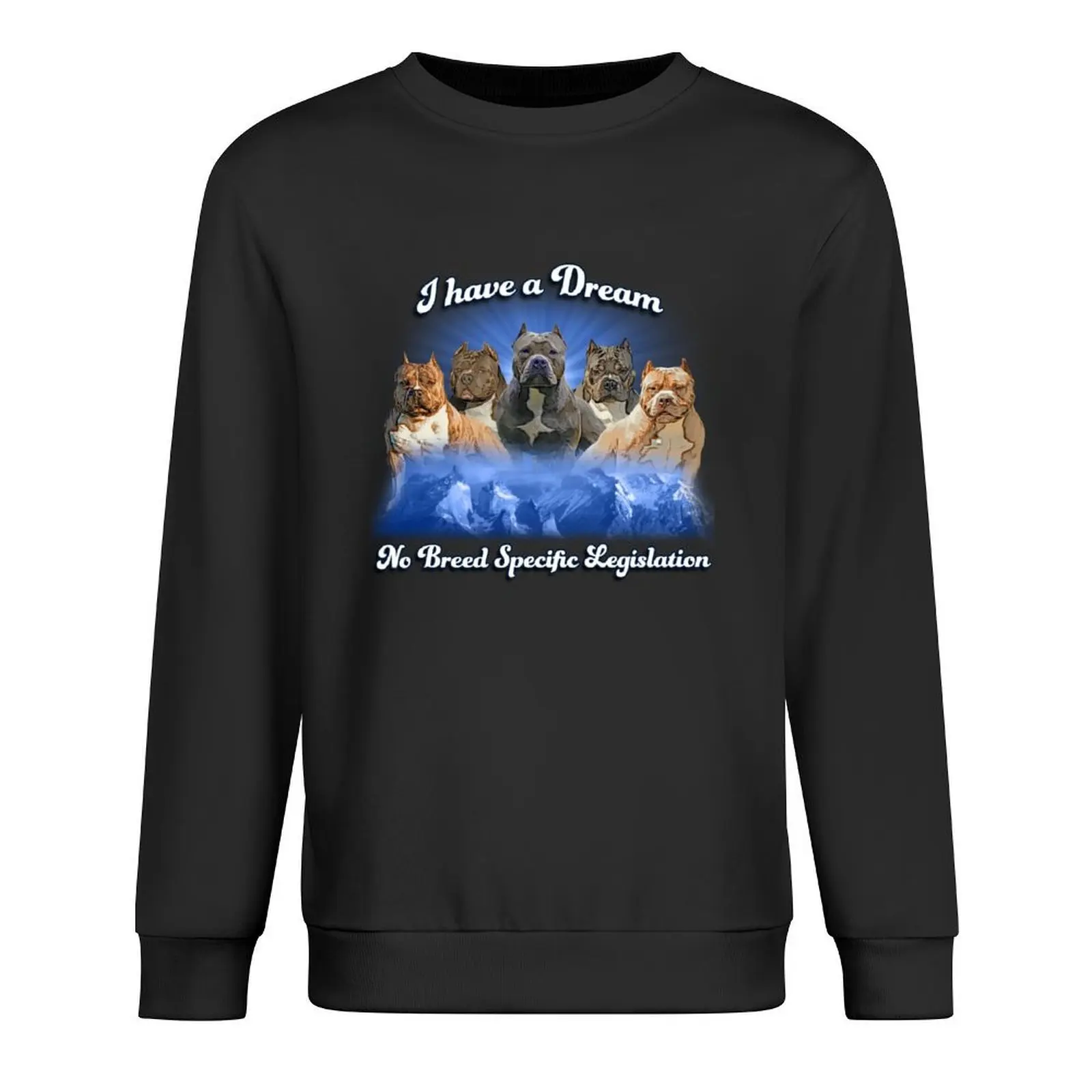 

I Have a Dream, NO BSL Pullover mens designer clothes clothes for men blouse autumn clothes sweatshirt men