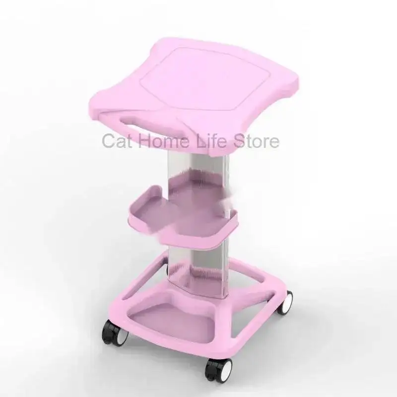 

Salon Beauty Stand Hair Rolling Professional Trolley Spa Rolling Trolley Stand Mobile Cart With Wheel Beauty Instrument Trolle