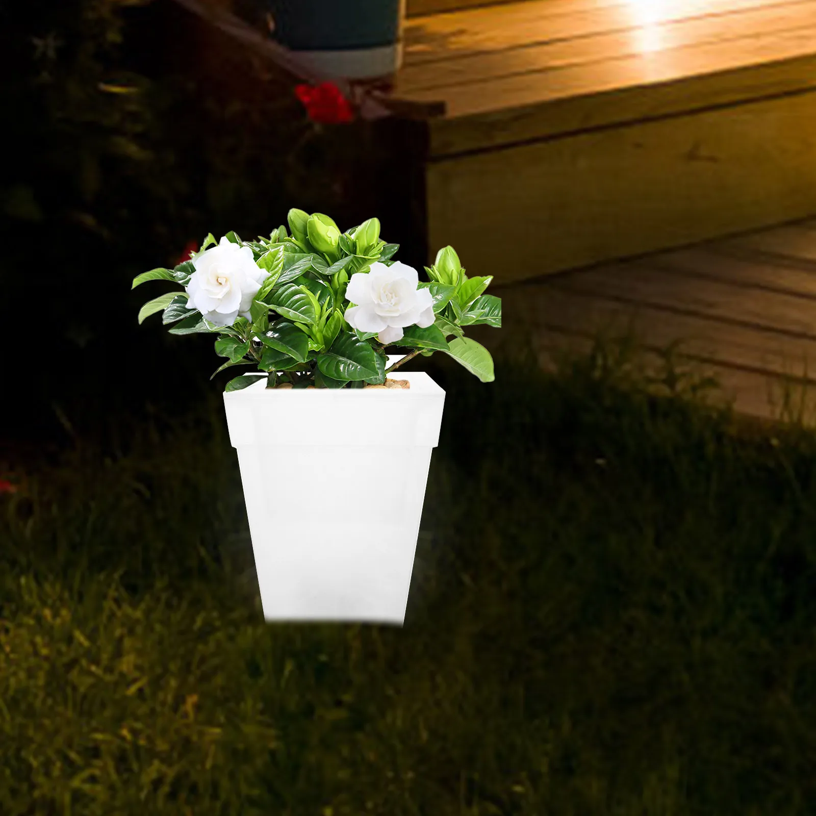 

Square Solar Flowerpot Light White Color Outdoor Garden Decor Luminous Balcony Planter Waterproof Glowing Plant Pot