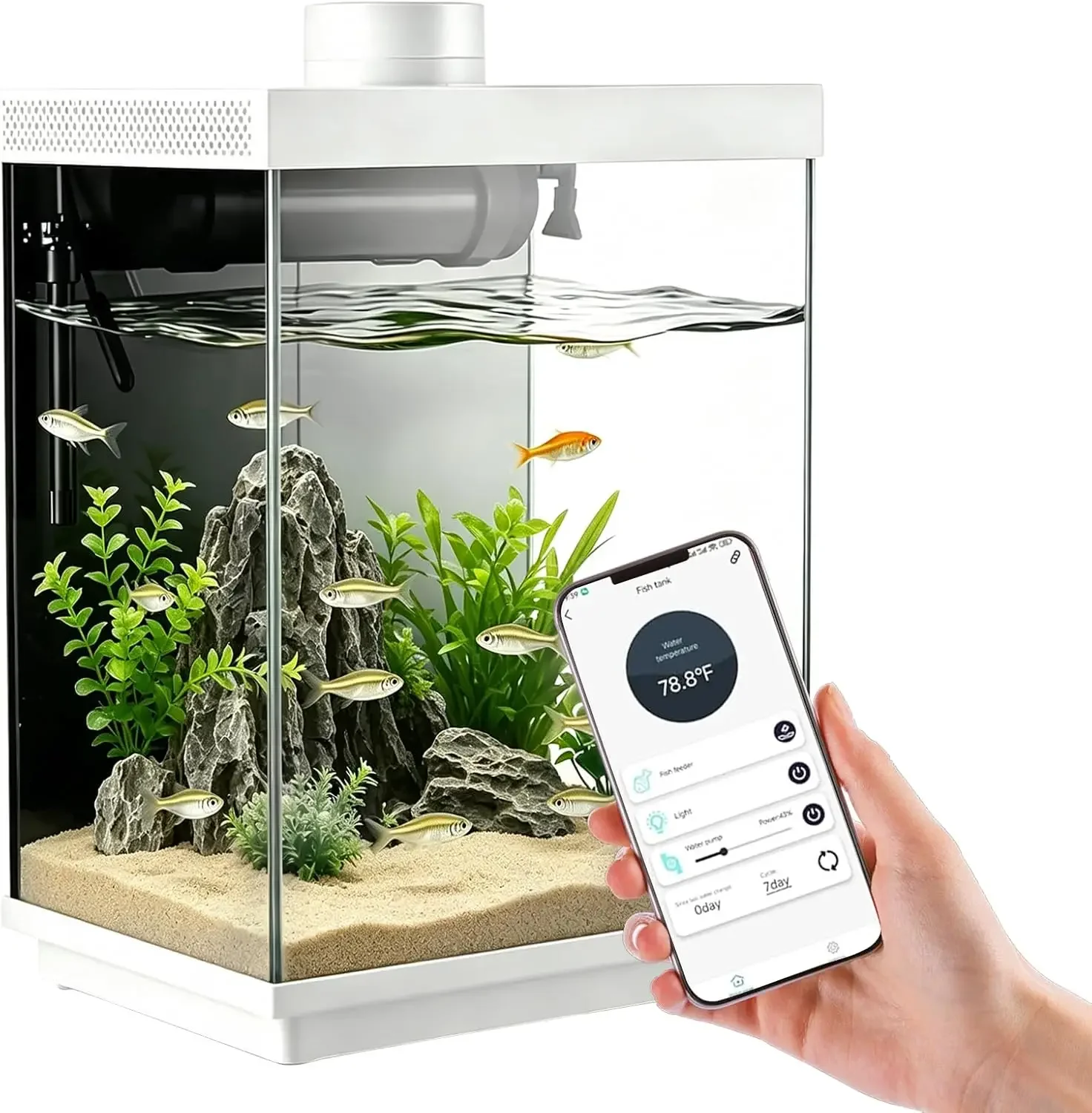 5 Gallon Smart Aquarium Kit, APP Control, Auto Feeder, LED Light, Self-Cleaning Filter, Glass Desktop Tank for Betta/Tetra/Goldf