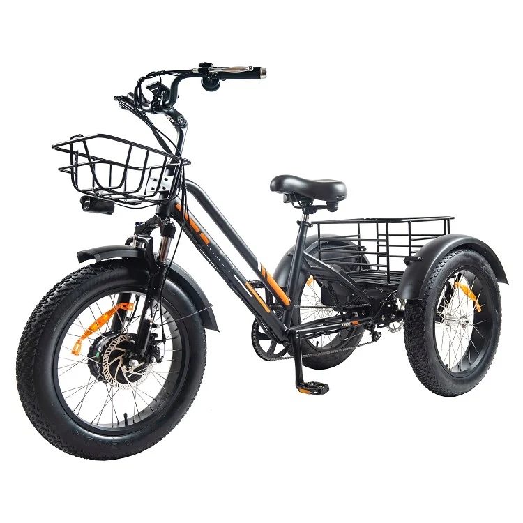 

3 Wheel Bike Electric Trike Aluminum Adult Tricycle with Pedal in China