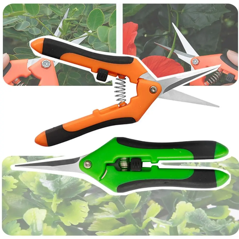 

New Stainless Steel Garden Shear Plants Straight Head Fruit Picking Shear Garden Tool Fruit Pruning Shear