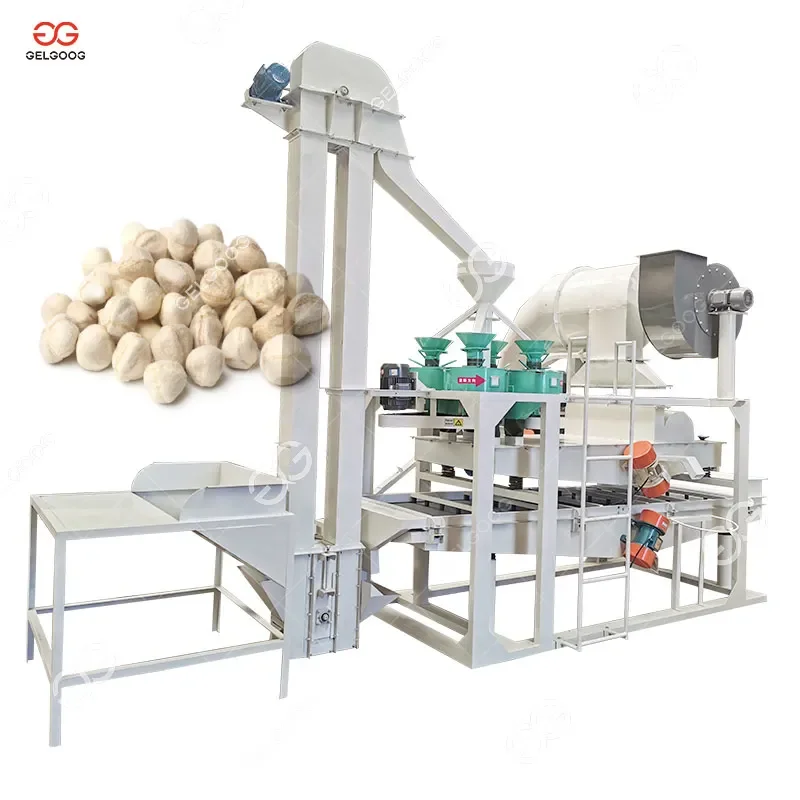 High Whole Kernel Rate Sacha Inchi Nuts Dehulling Moringa Seeds Shelling Peeling Machine