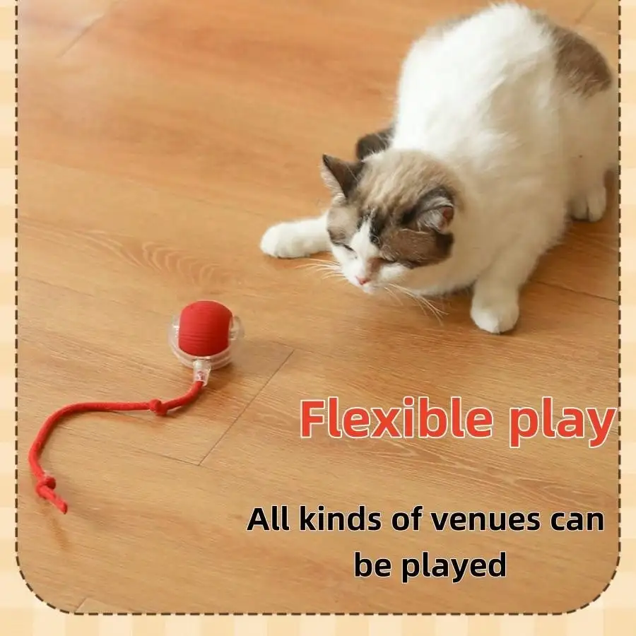 Kimpets Interactive Cat Toys Ball Auto Electric Rolling Ball Toys for Cats/Kitty Pets Smart Automatic Teaser USB Rechargeable