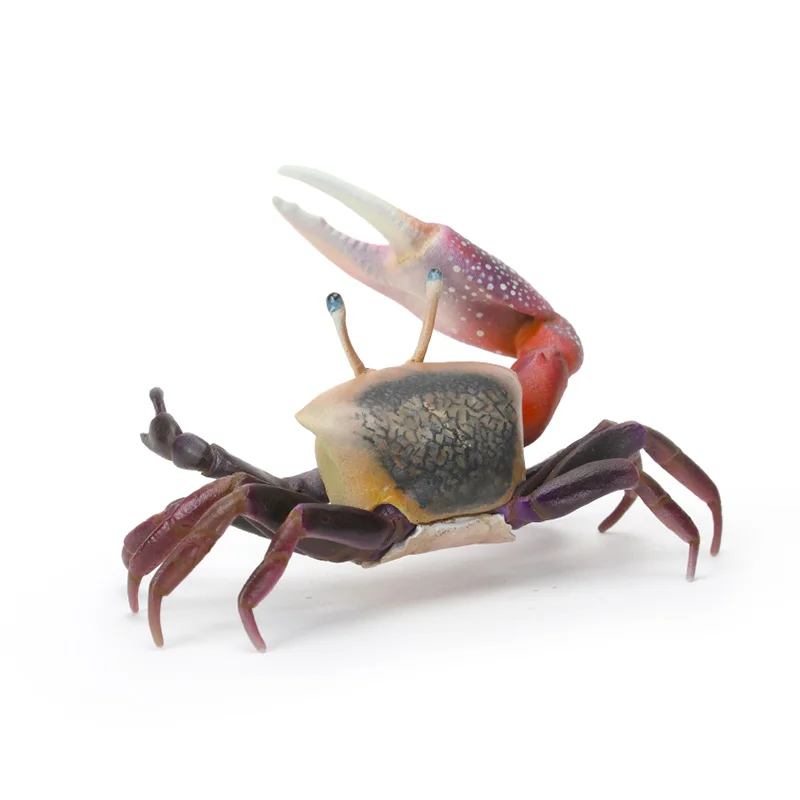 Bandai Original Genuine Biological Encyclopedia MINI Crustacean 01 Simulated Animal Crab Action Figure Collection Holiday Gift