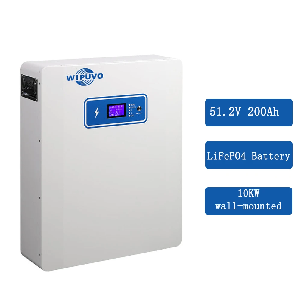 Portable LiFePO4 51.2V 100Ah  200Ah  With BMS 51.2V LiFePO4 Battery Pack Lithium Battery