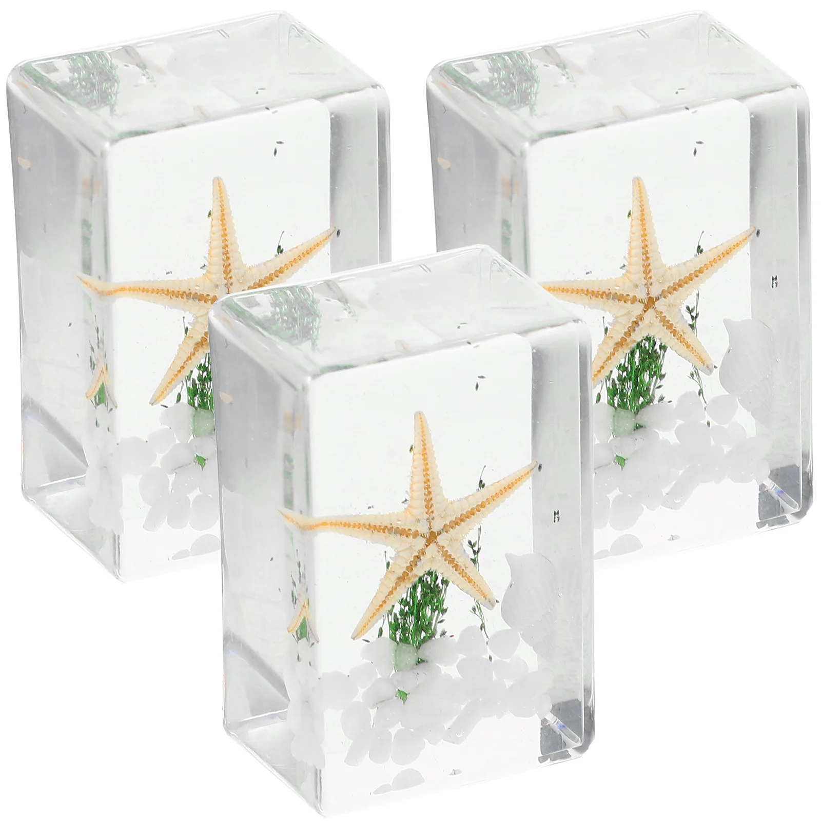 3 قطعة عينة نجمة البحر الراتنج زخرفة سطح المكتب المحيط الحيوانات الديكور ديكور المنزل مكتب الحرفية هدية