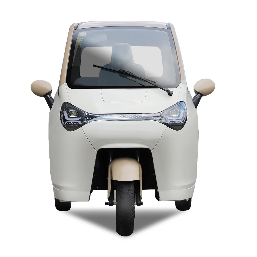 Multi-functional 60V80AH 4-Seater Small Electric Tricycle for Adults