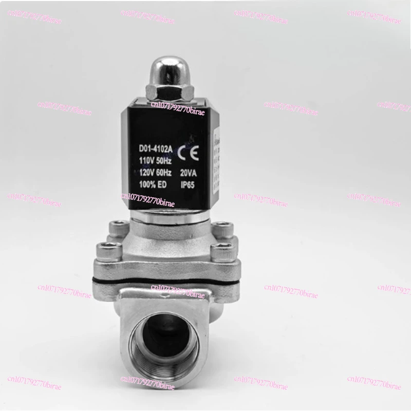 ZS1DH01E4E20 Stainless Steel Solenoid Valve AC110V ZS1DF02E4E20