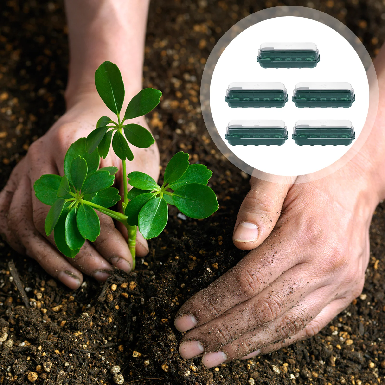 

5Pcs Plant Germination Tray Plastic Garden Propagator Box Transparent Cover Keep Warm Durable Simple Home Vegetable Growing