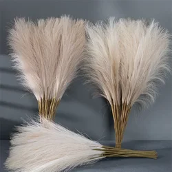 55CM 5PCS Fluffy Pampas Grass Boho Decor Flower Fake Plant Reed Simulated Wedding Party Home Decoration Artificial Flowers