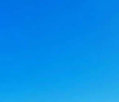 

Out of stock Out of stock