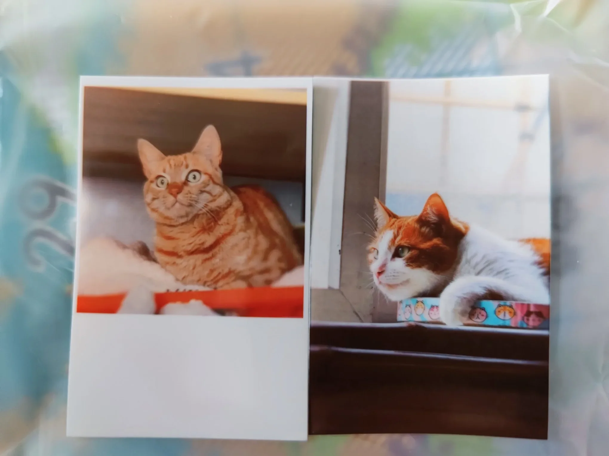 LanyuxuanPortatil Original Xiaomi Portable Pocket Photo Printer